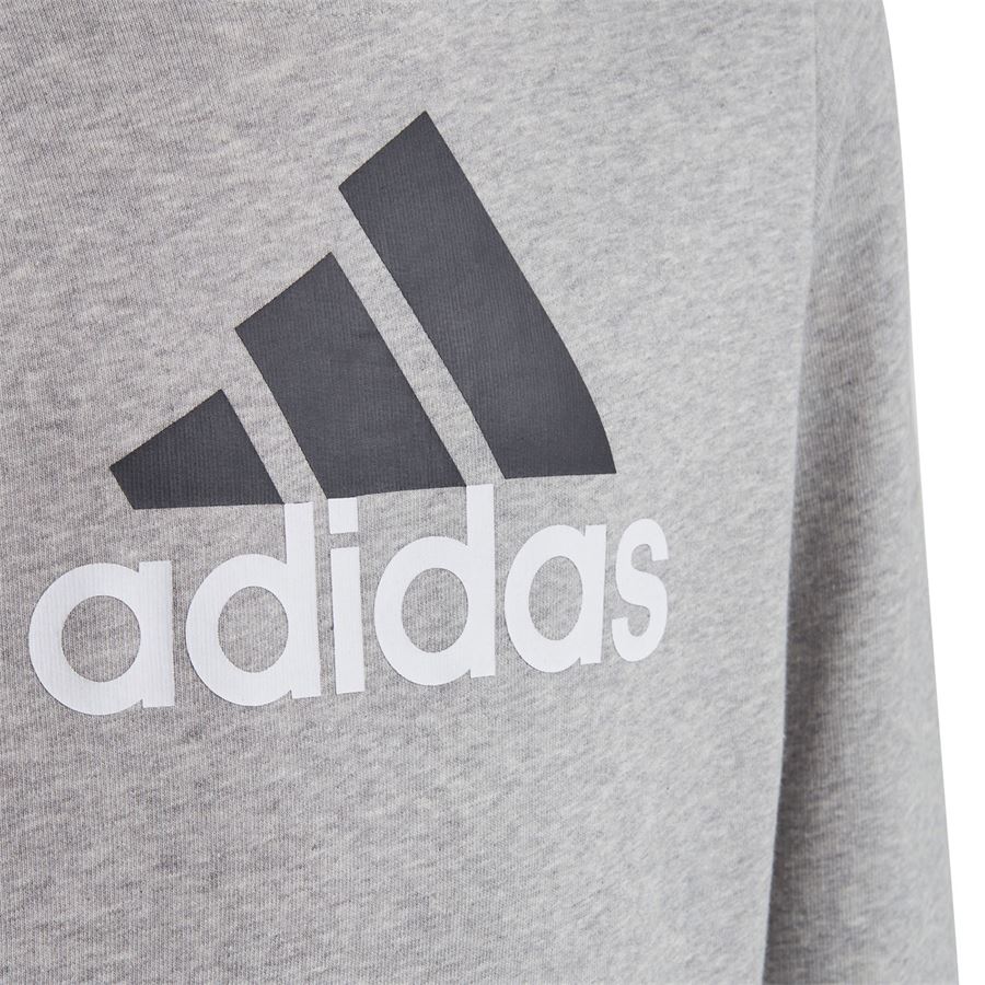 Felpa da bambino con cappuccio Essentials Big Logo Adidas | HB4362X